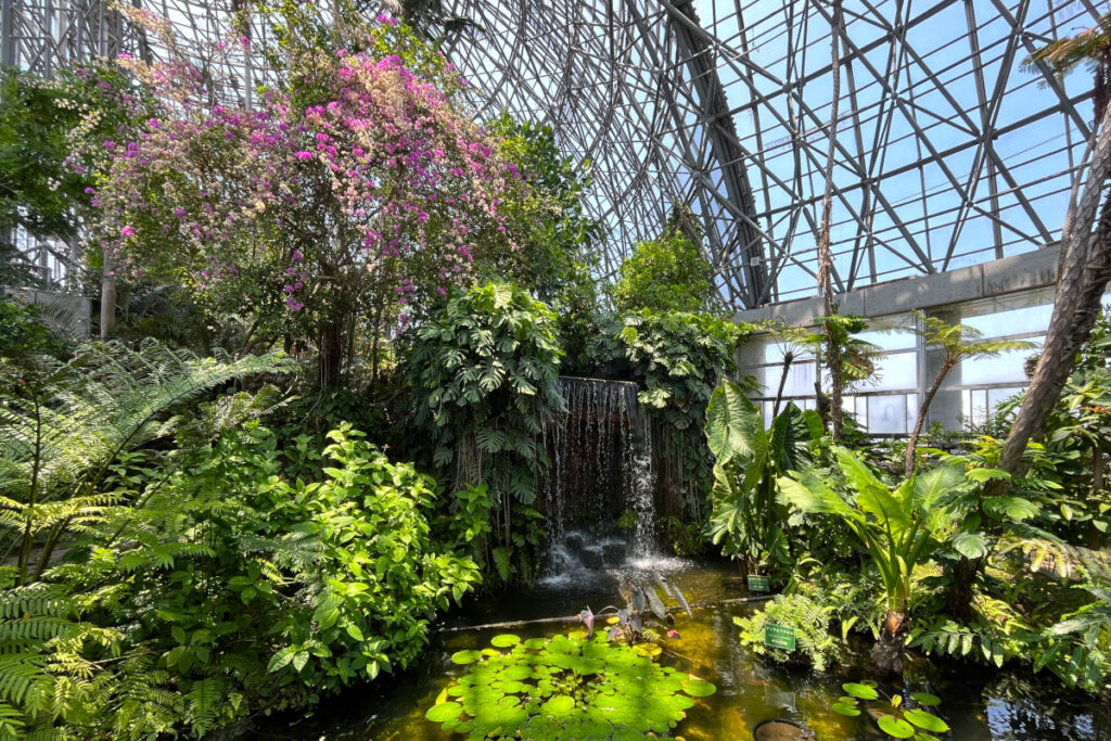 夢の島熱帯植物館