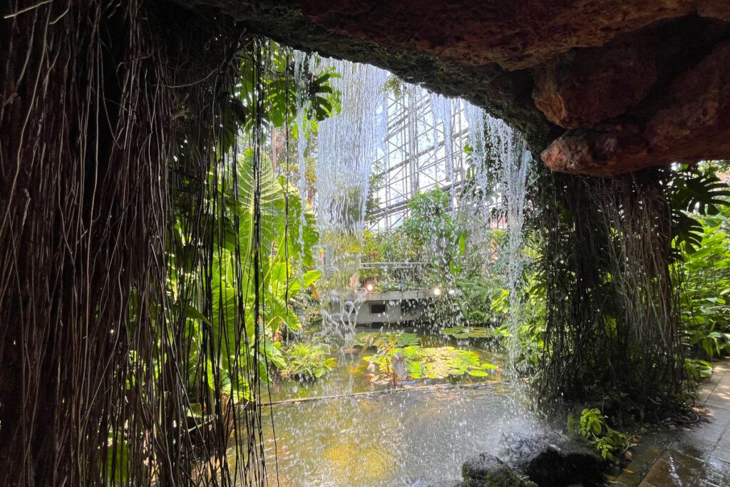 夢の島熱帯植物館