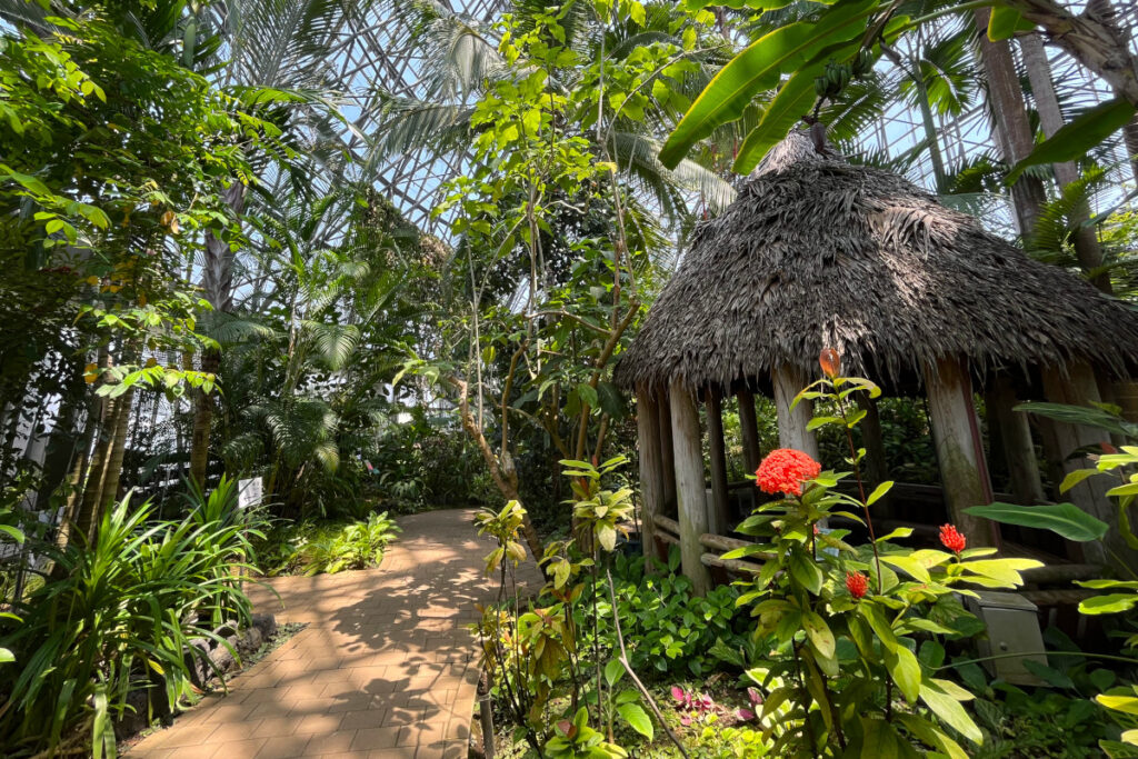 夢の島熱帯植物館