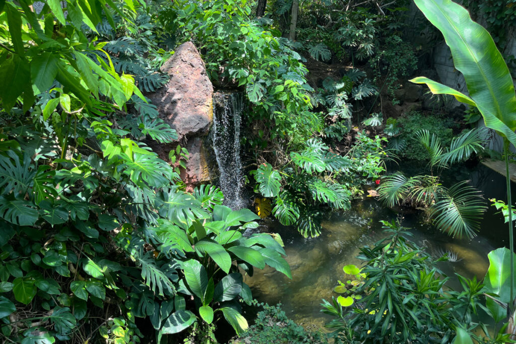 夢の島熱帯植物館