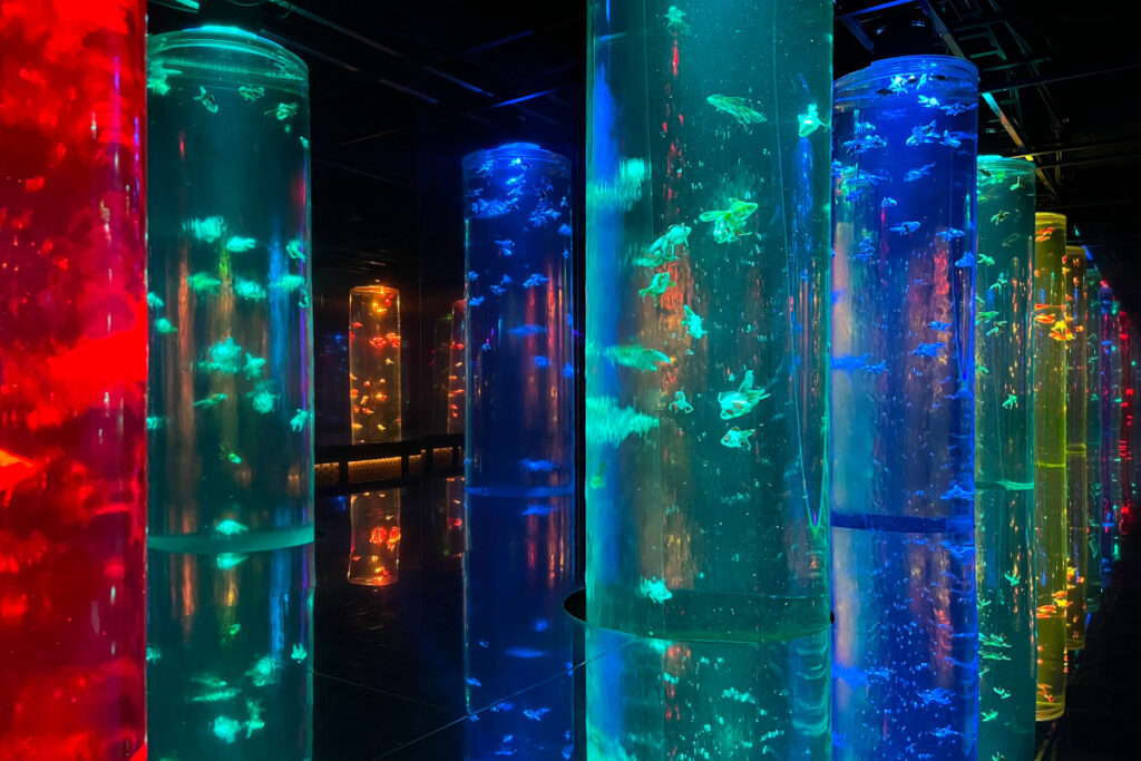 アートアクアリウム美術館GINZA