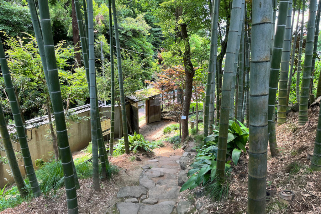 等々力渓谷 日本庭園