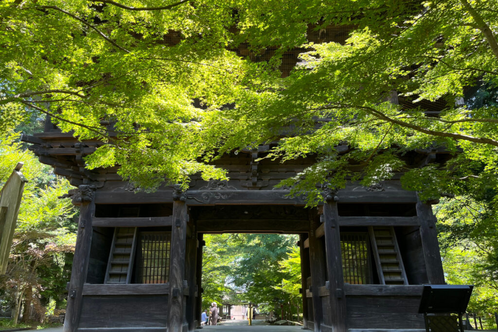 九品仏浄真寺の山門