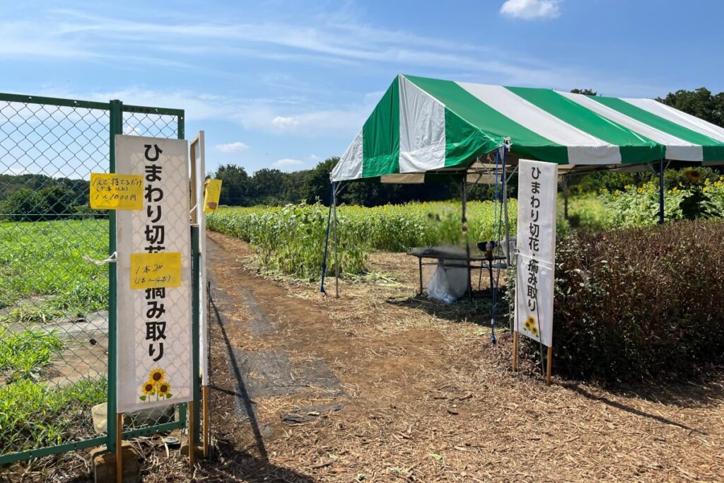 清瀬ひまわりフェスティバル