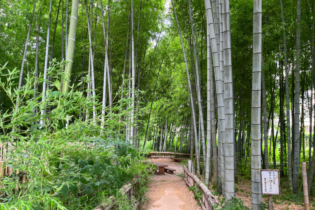 竹林公園