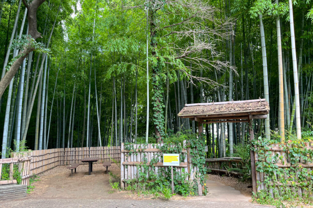 竹林公園