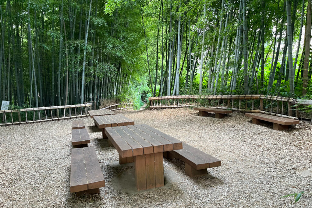 竹林公園