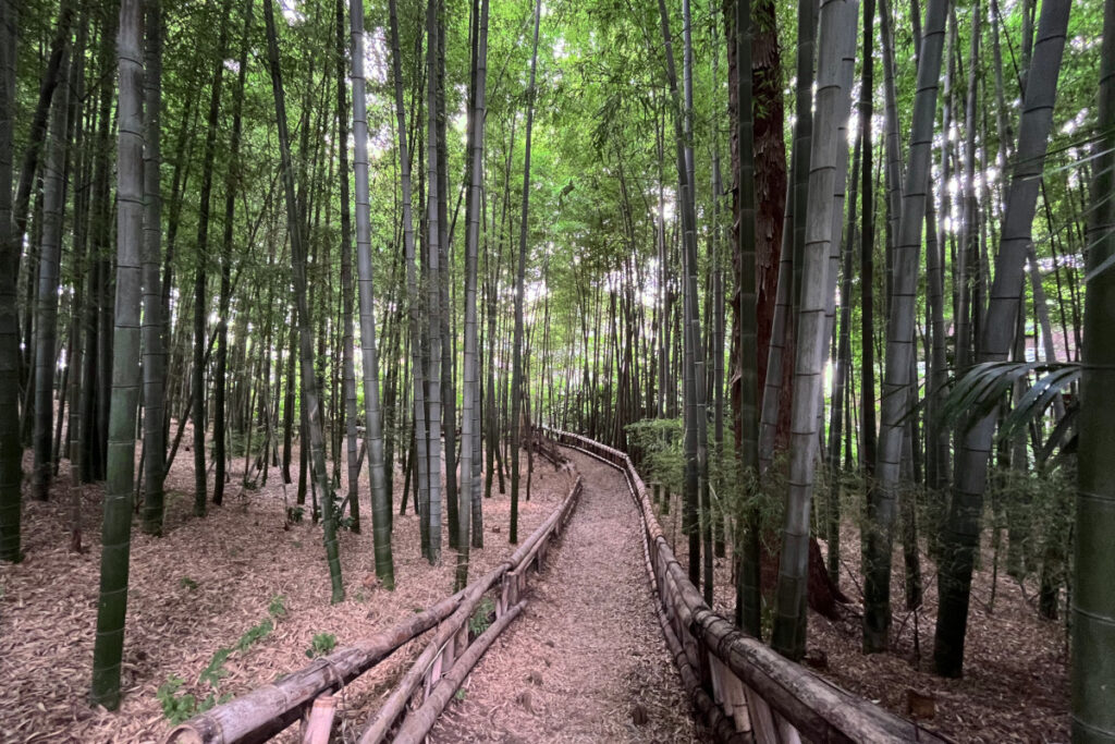 竹林公園