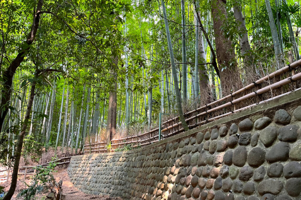 竹林公園