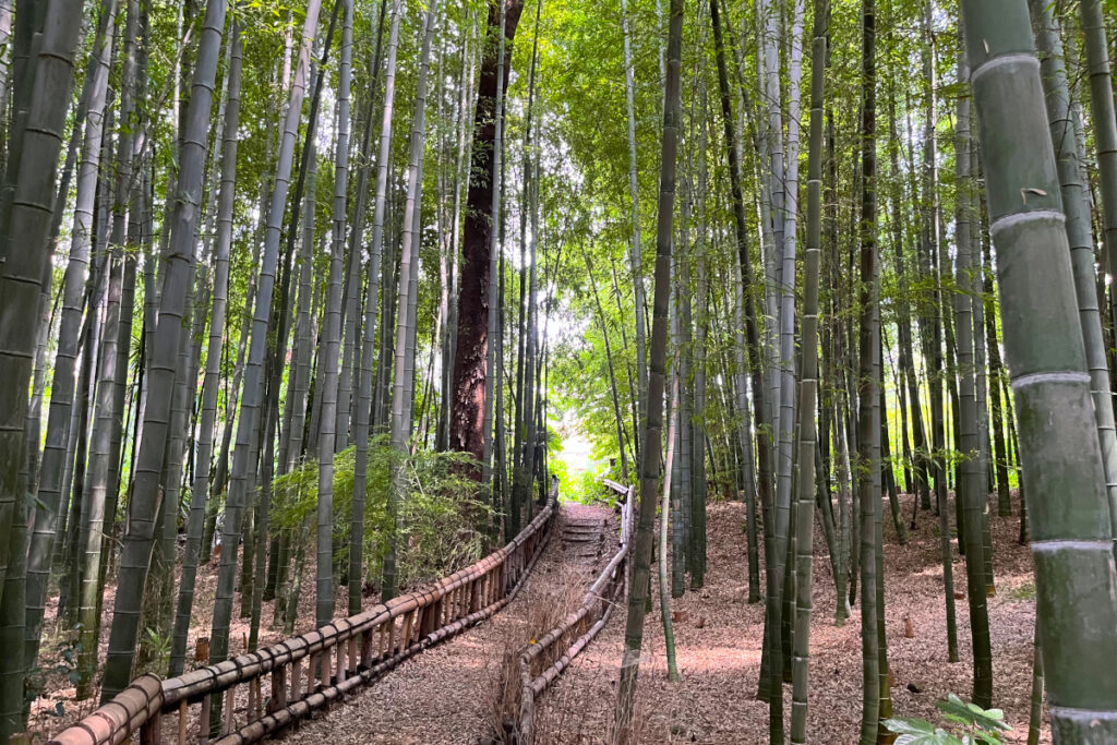 竹林公園