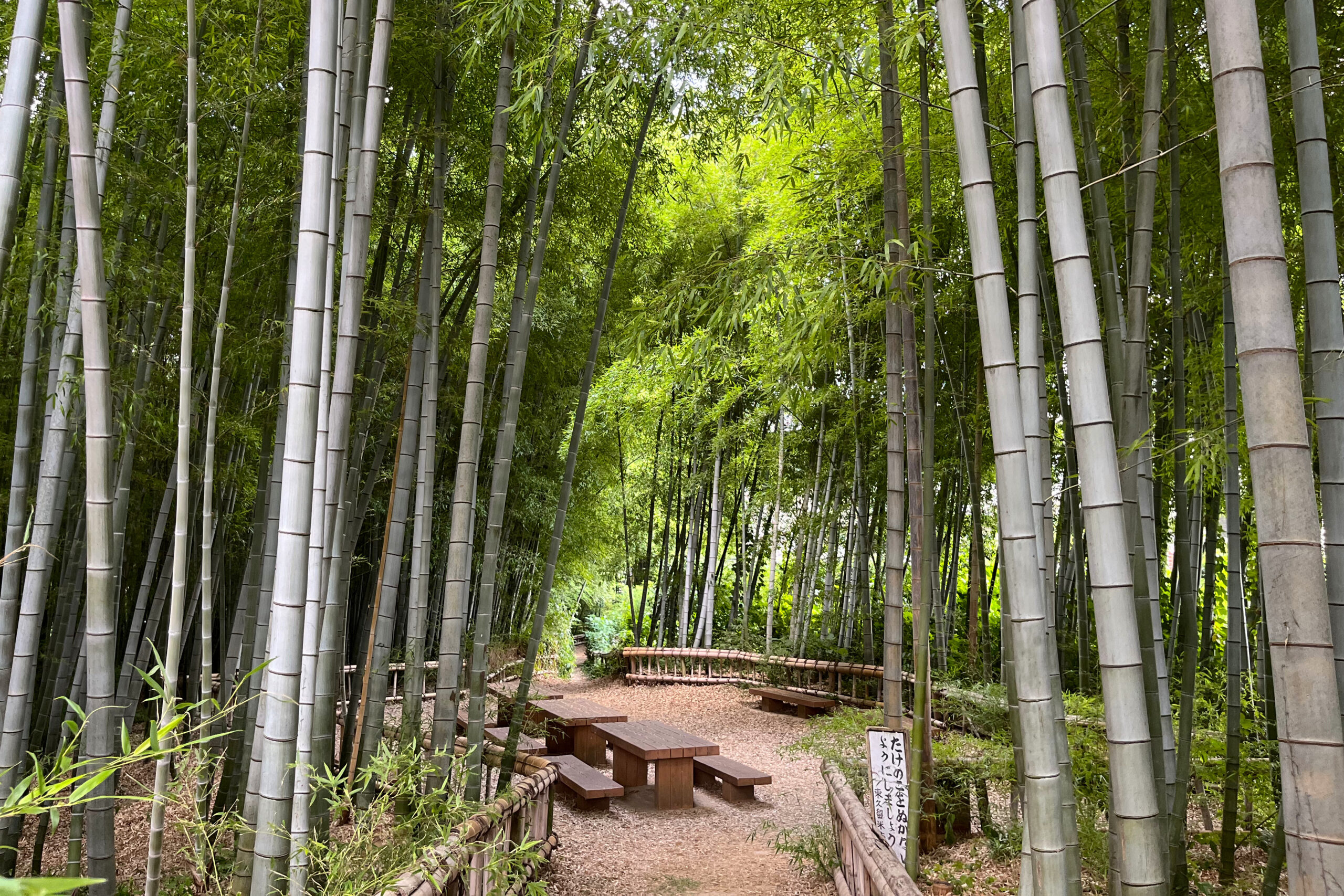 竹林公園