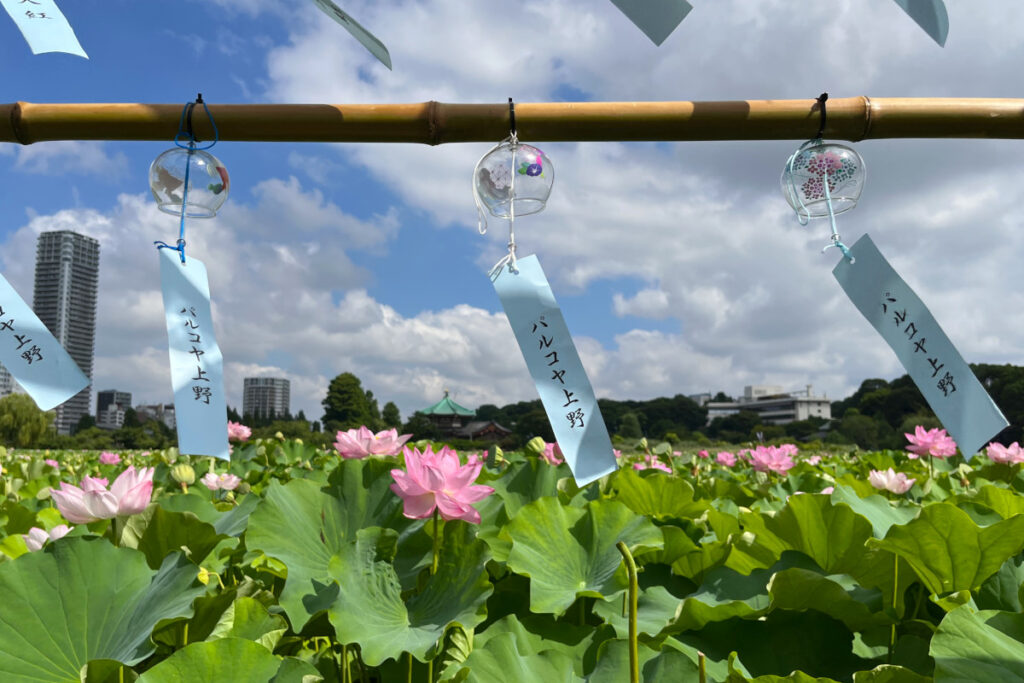 上野公園の蓮と風鈴