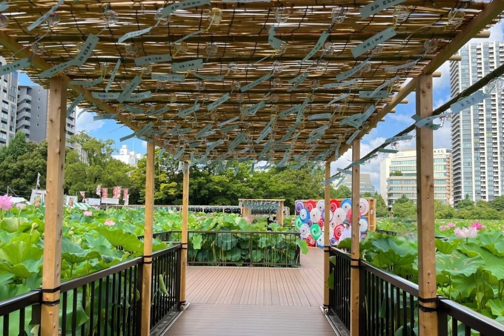 上野公園 蓮見デッキの風鈴