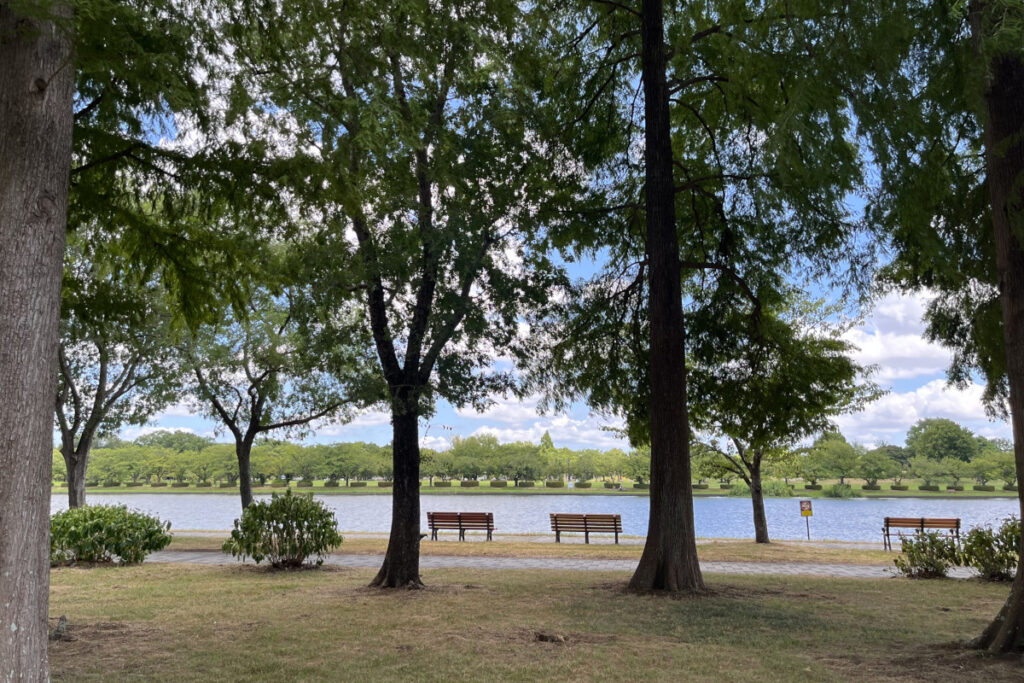 水元公園