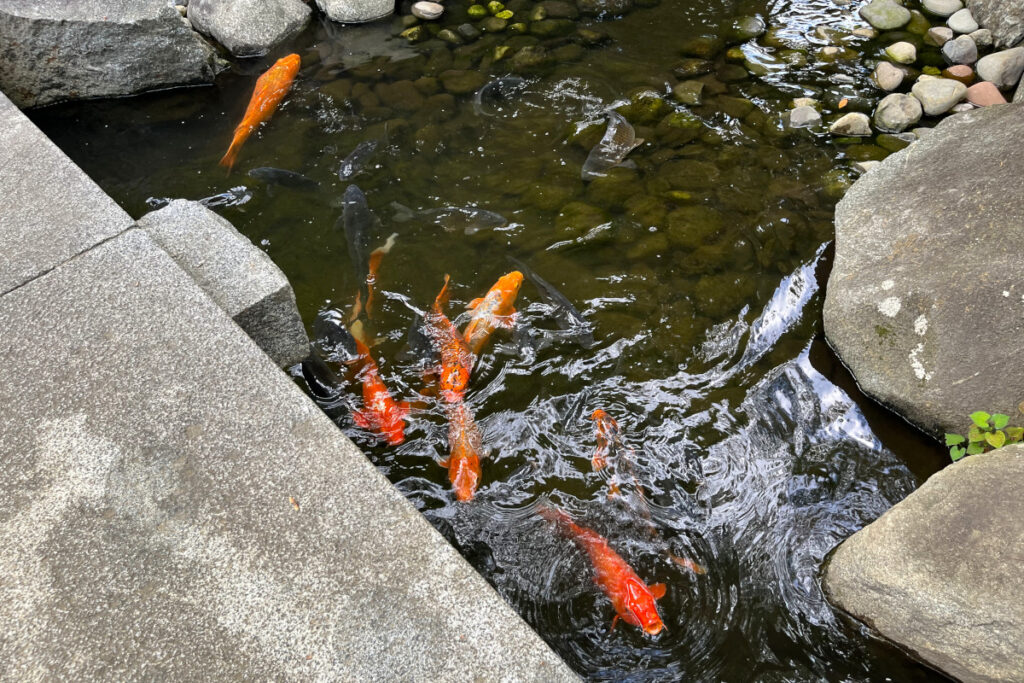 大田黒公園