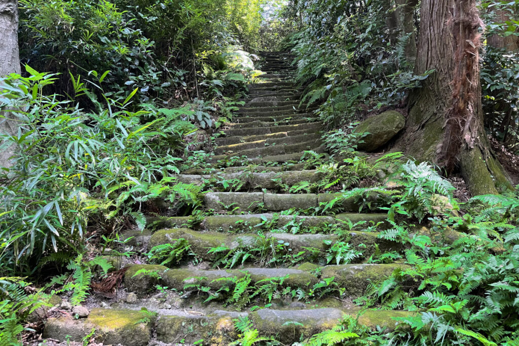 瑞泉寺 苔の石段
