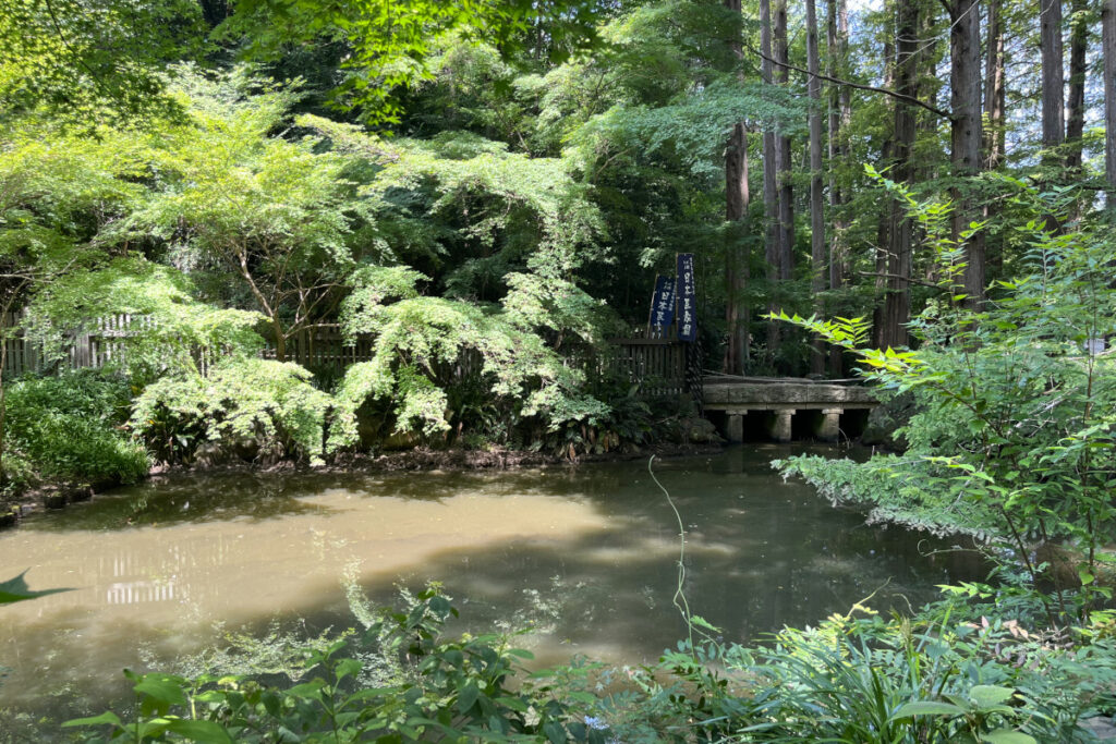 生田緑地 奥の池
