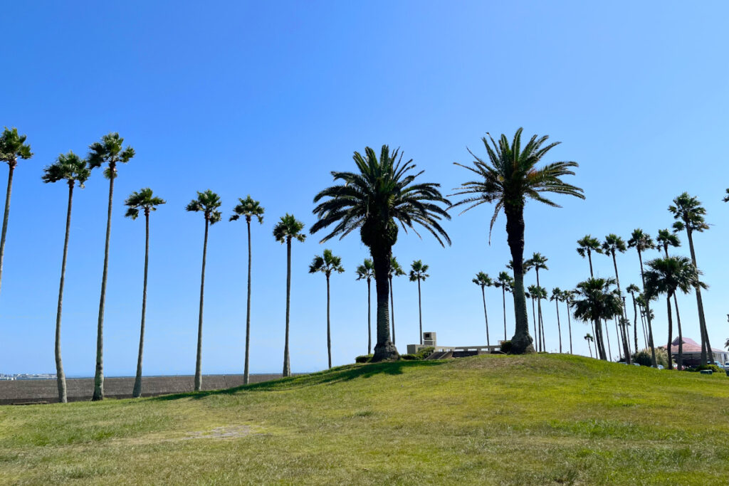 小坪海浜公園