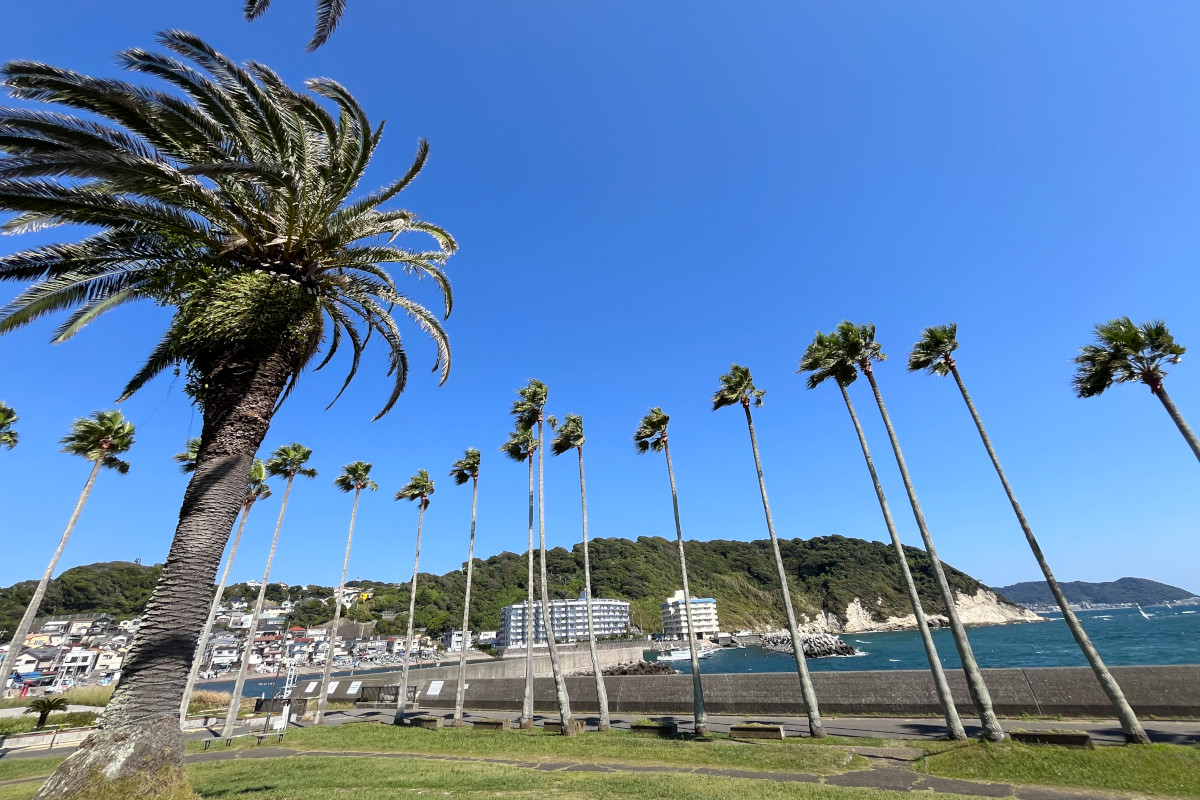 小坪海浜公園
