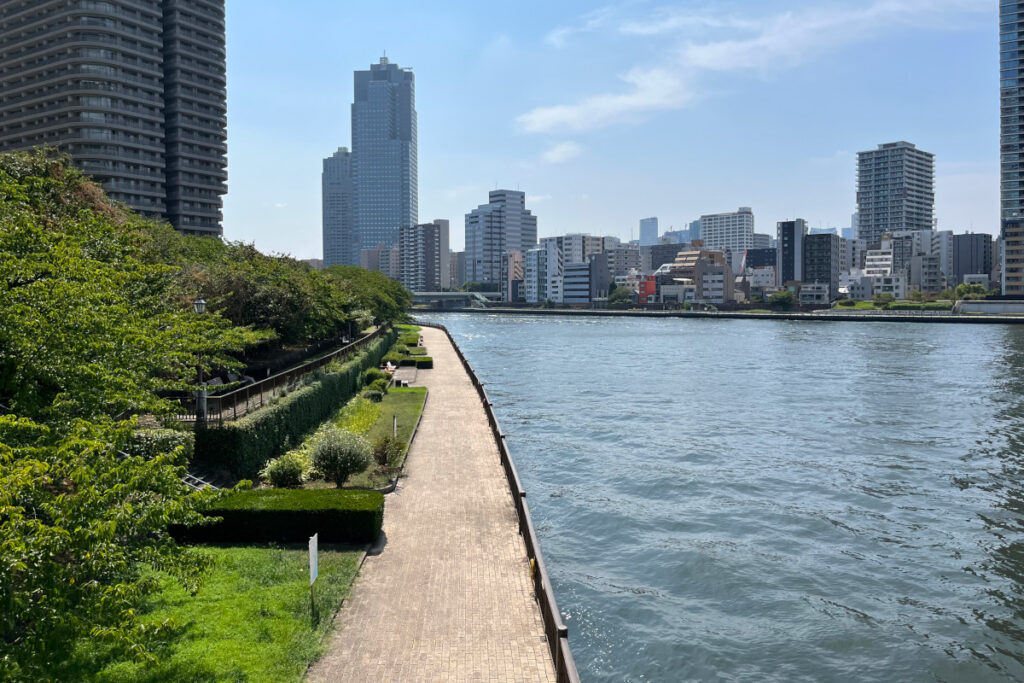 中央大橋から佃公園を眺める
