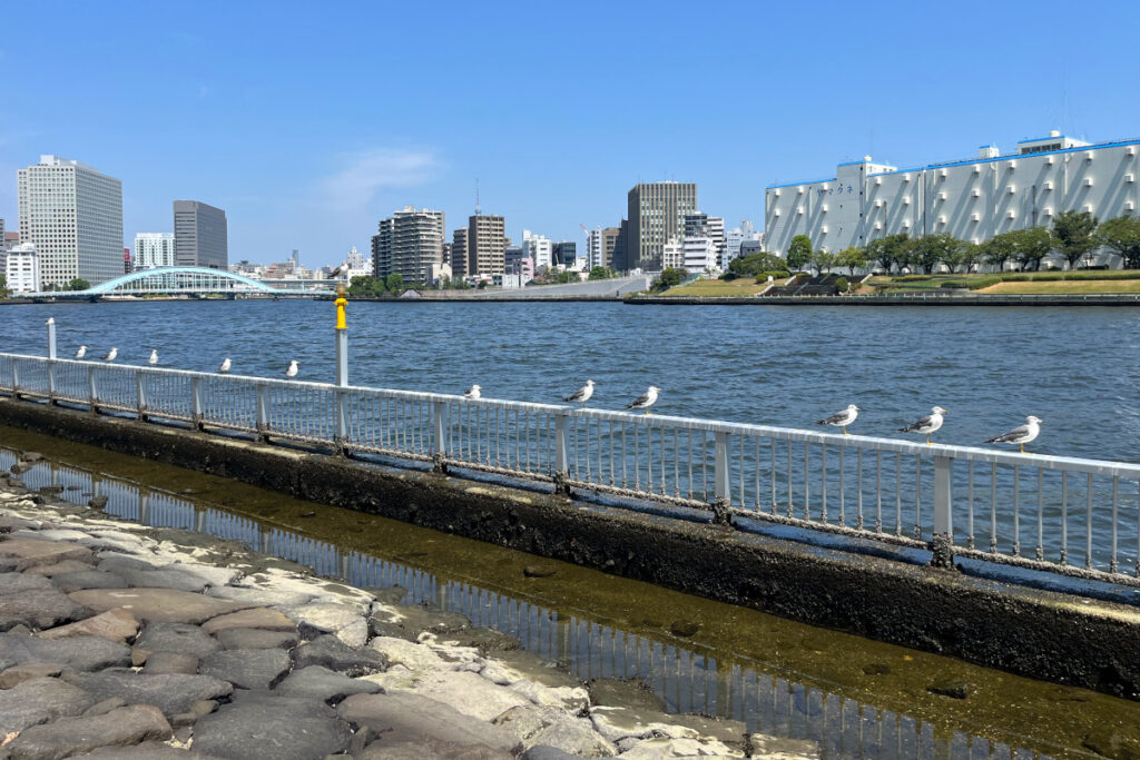 石川島公園