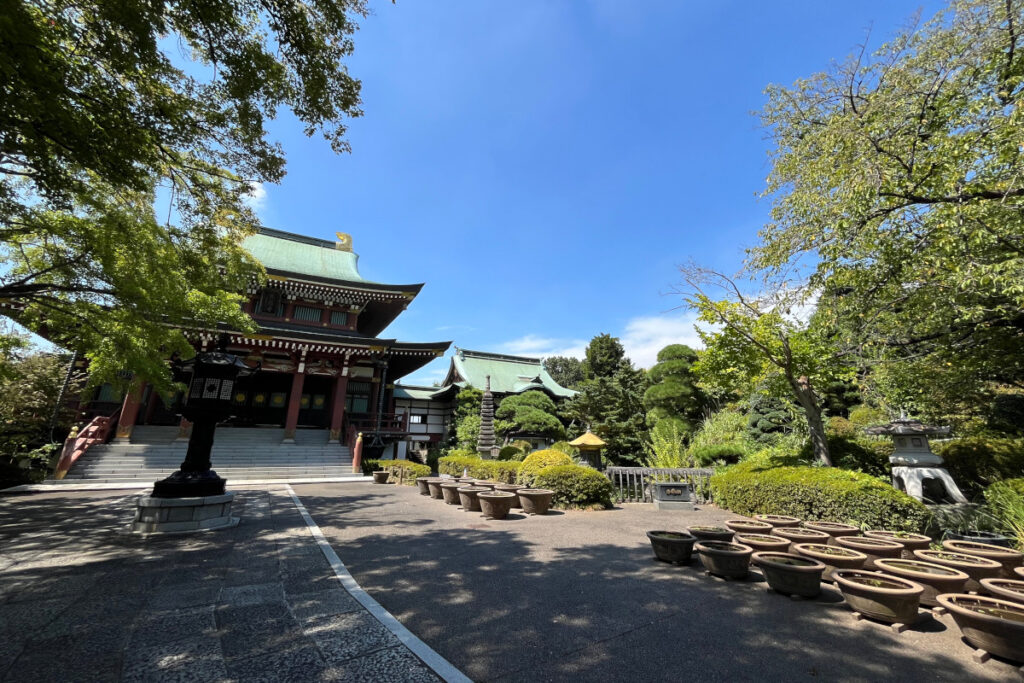 東京大仏・乗蓮寺