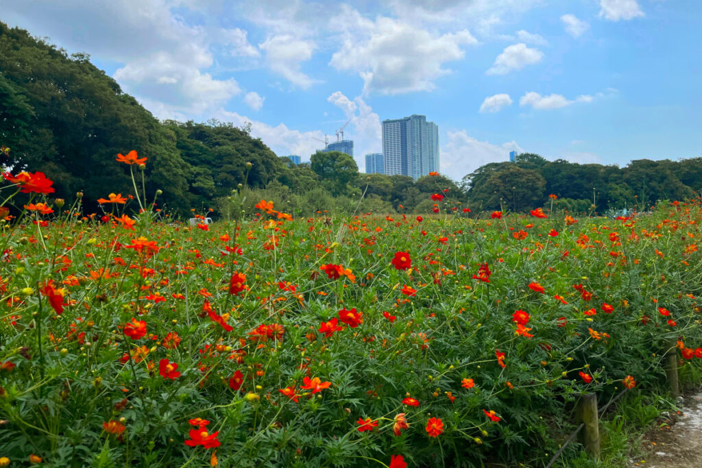 浜離宮恩賜庭園