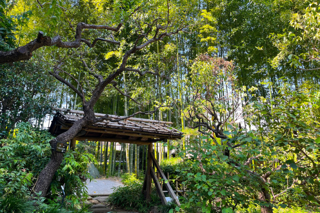 赤塚植物園