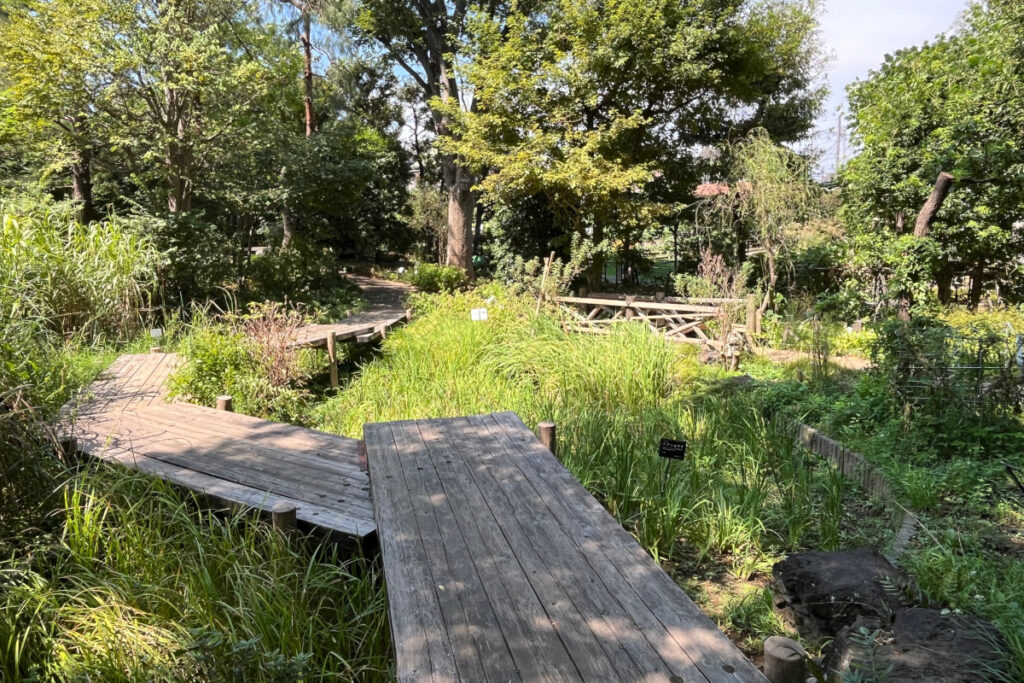 赤塚植物園