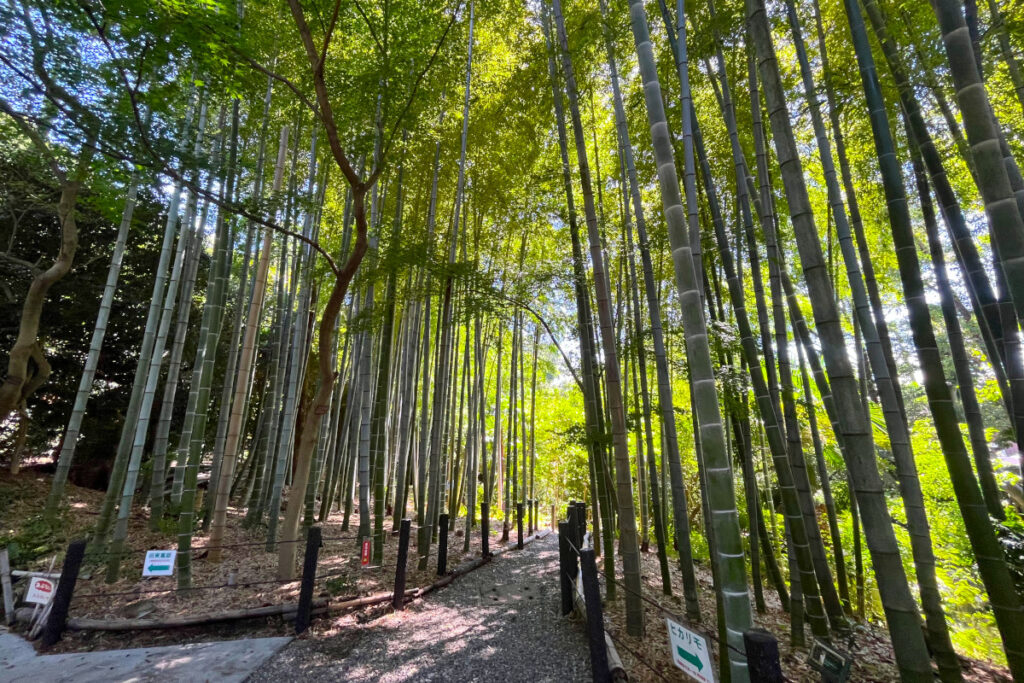 実篤公園