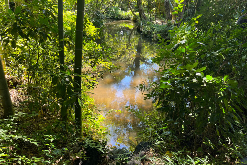 実篤公園