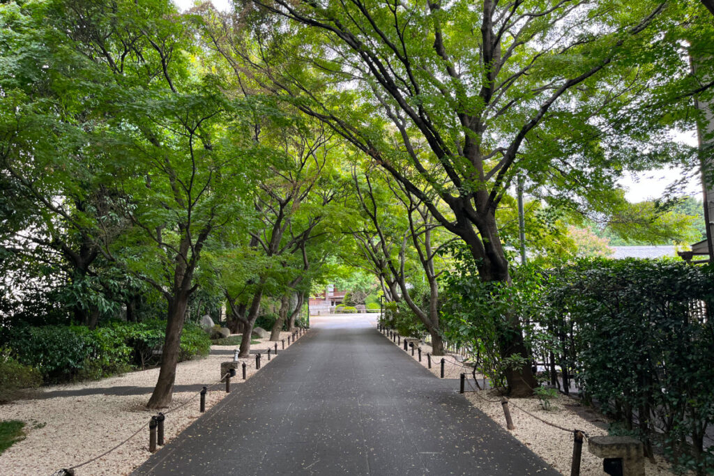 宿鳳山高円寺