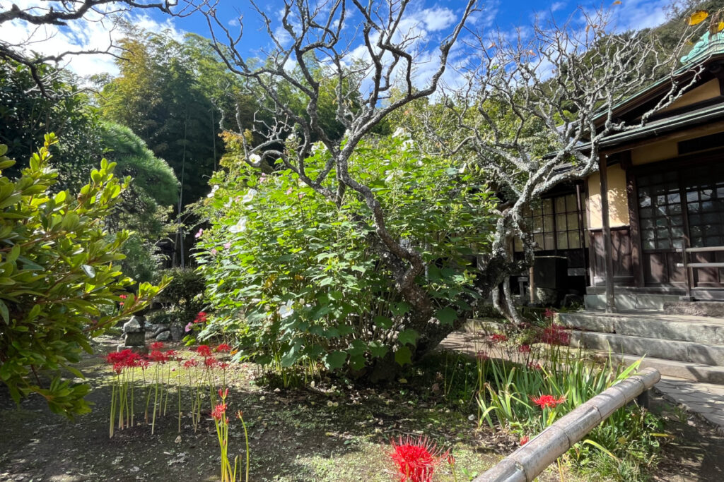 鎌倉 英勝寺