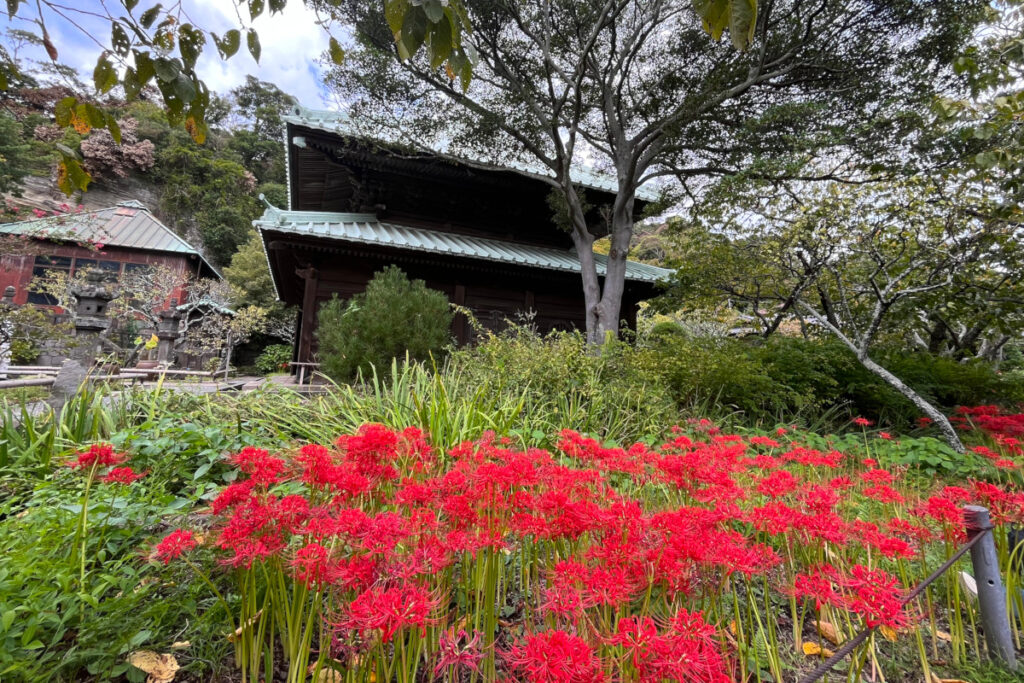 鎌倉 英勝寺