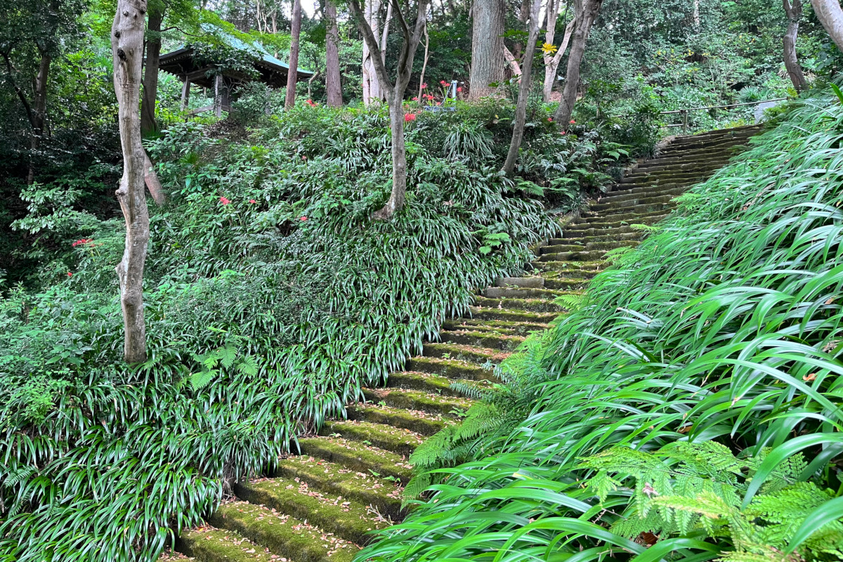 鎌倉 妙法寺
