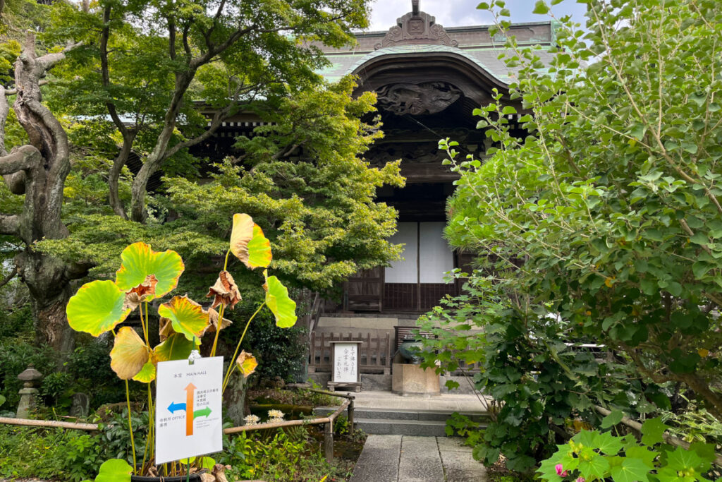 鎌倉 妙法寺