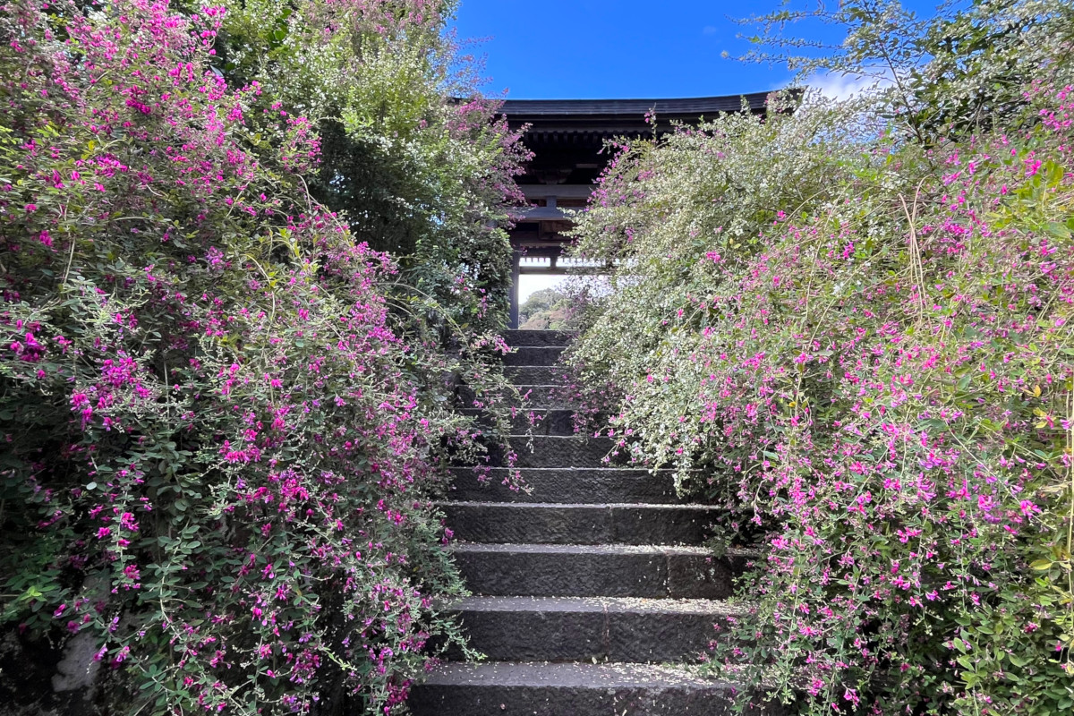鎌倉 海蔵寺