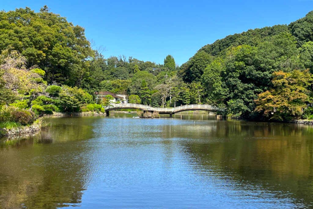 薬師池公園
