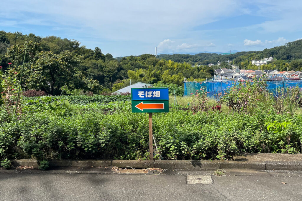 町田市そば畑