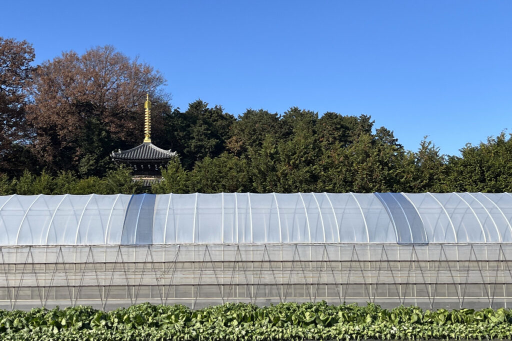 慶元寺