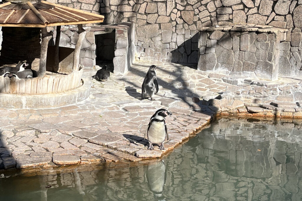江戸川区自然動物園