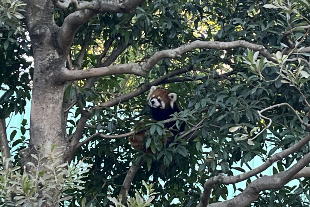 江戸川区自然動物園