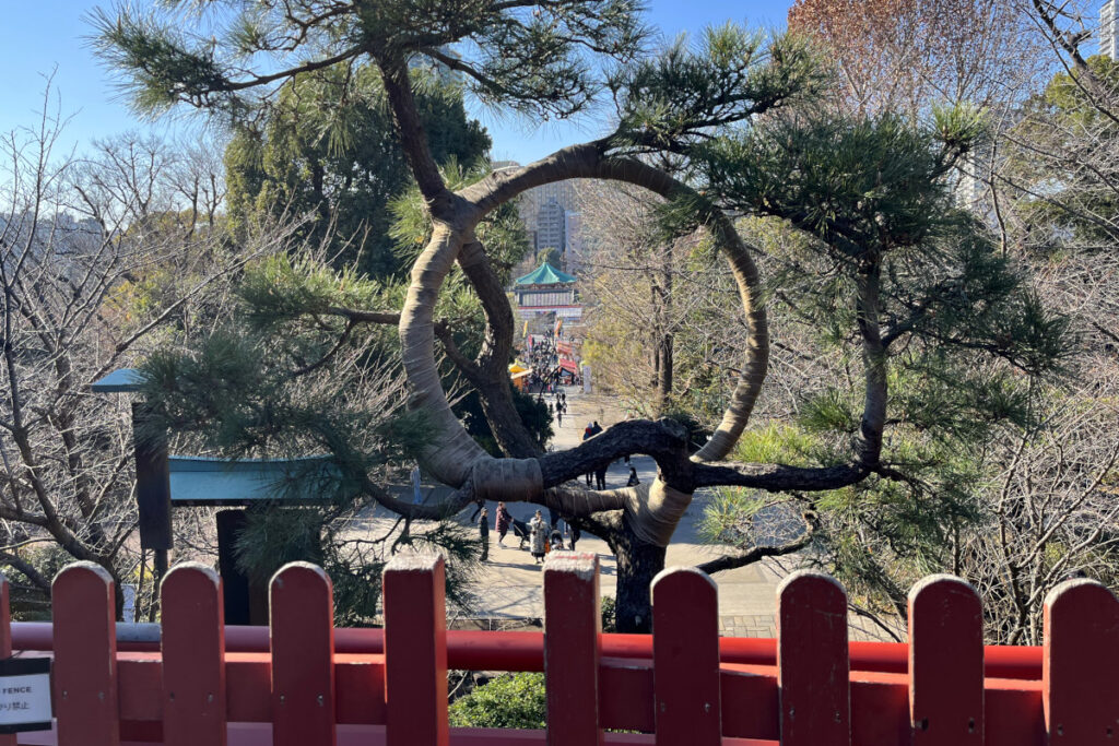 寛永寺 清水観音堂