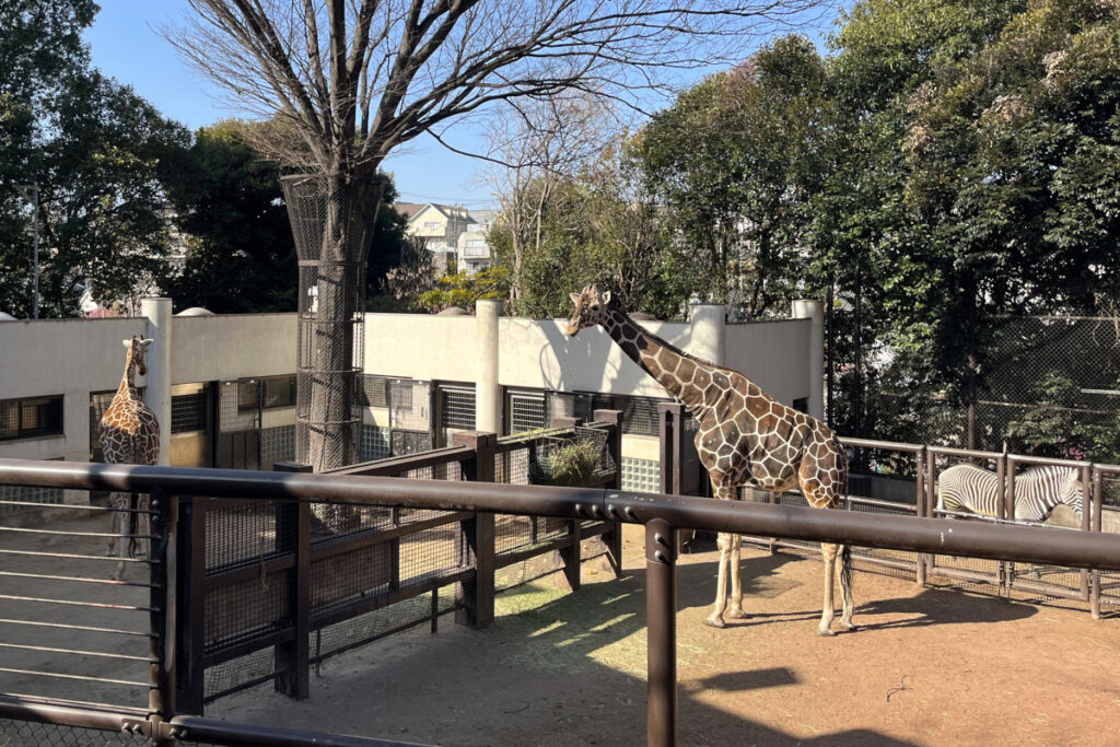 野毛山動物園