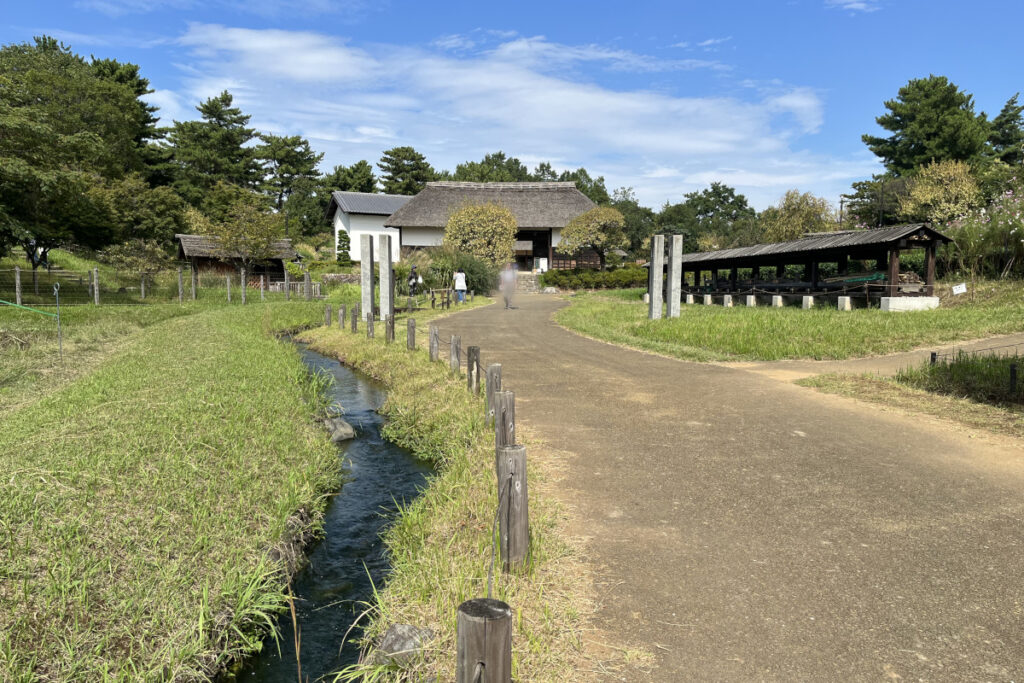 昭和記念公園