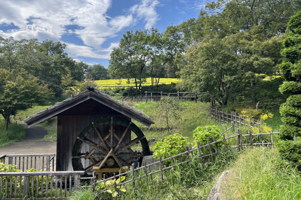 昭和記念公園