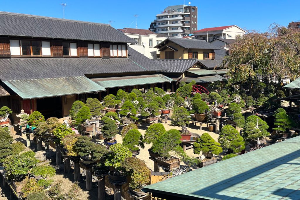 春花園BONSAI美術館