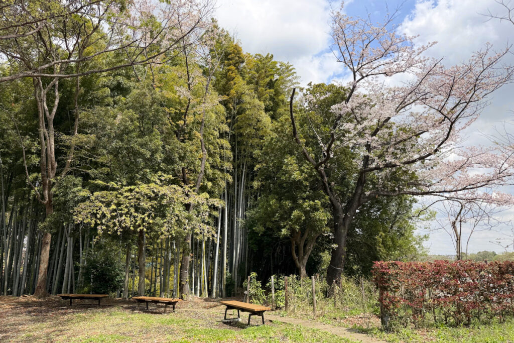 多摩中央公園