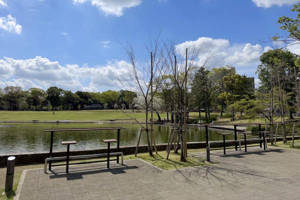 多摩中央公園