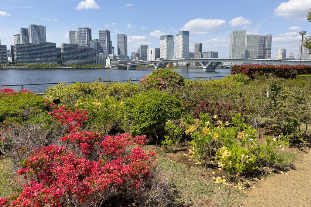 豊洲ぐるり公園